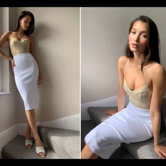 [Sold off app] Babaton Sculpt Knit Skirt - Picture 4 of 8